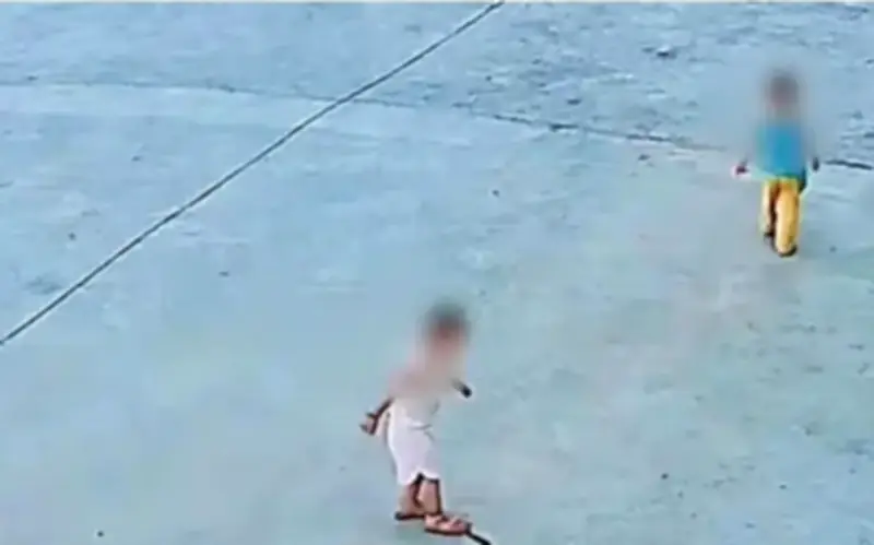 Hai trẻ em vô tình giẫm lên rắn hổ mang ở Vân Nam