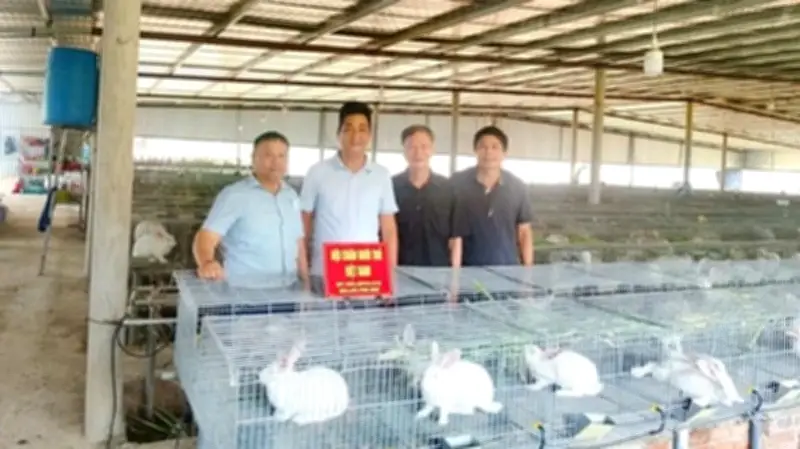 Hội Chăn nuôi Thỏ kiến nghị giảm phí kiểm soát giết mổ từ 3.000 đồng xuống 200 đồng