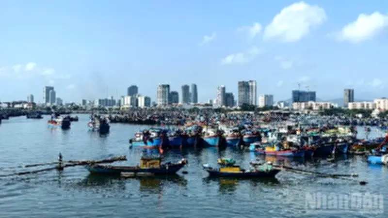 Hơn 56.000 tàu thuyền được hướng dẫn tránh bão số 1 năm 2026
