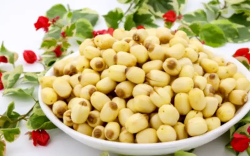 Hạt sen tươi hay khô tốt hơn cho sức khỏe? So sánh chi tiết