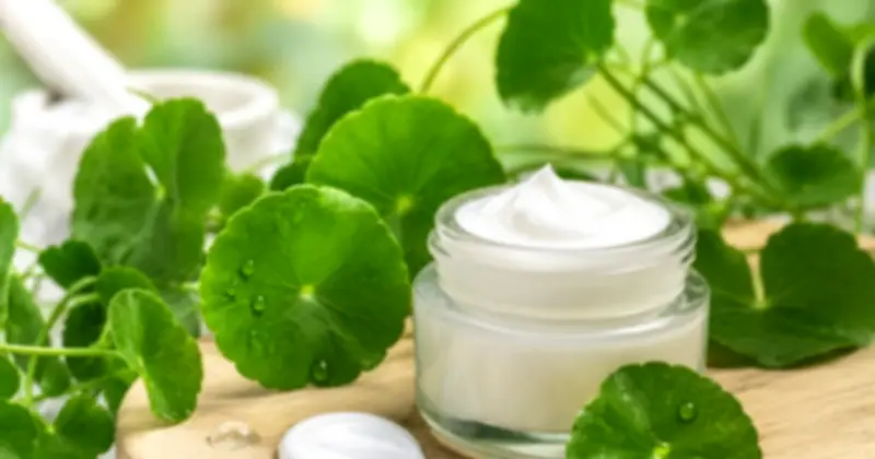 Kem bôi da thảo mộc Young Rau Má bị thu hồi toàn quốc do sai công thức