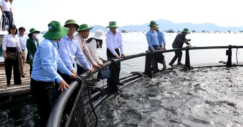 Khánh Hòa chi gần 60 tỉ đồng hỗ trợ ngư dân đổi lồng bè công nghệ cao