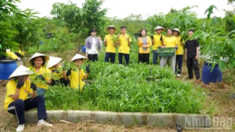 Khu vườn xanh Green Hero Garden: Mô hình nông nghiệp tuần hoàn tại TP.HCM