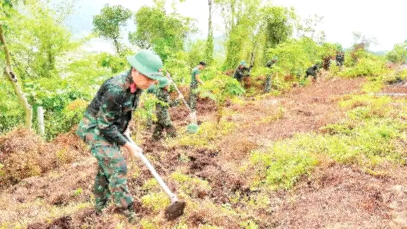 Lào Cai tìm kiếm hài cốt liệt sĩ trên cao điểm biên giới
