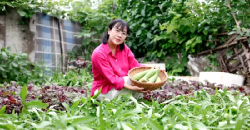 Mẹ đảm Hà Nội biến đất hoang dưới chung cư thành vườn rau 200m2 xanh tốt