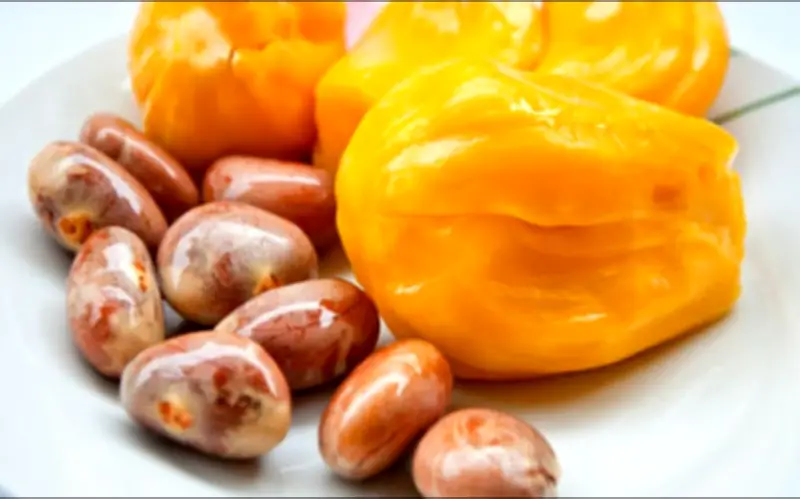 Mùa hè ăn mít đừng vội bỏ hạt: Phần bổ dưỡng ít người biết giúp bạn sống thọ hơn