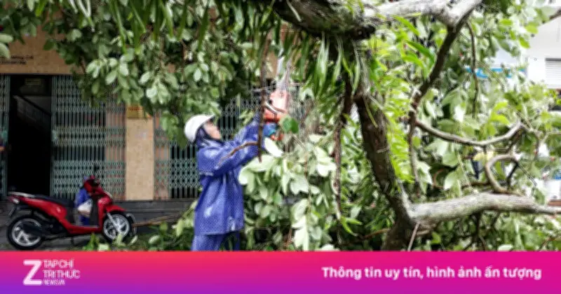 Móng Cái tan hoang sau bão số 1: ngập sâu, cây đổ ngổn ngang