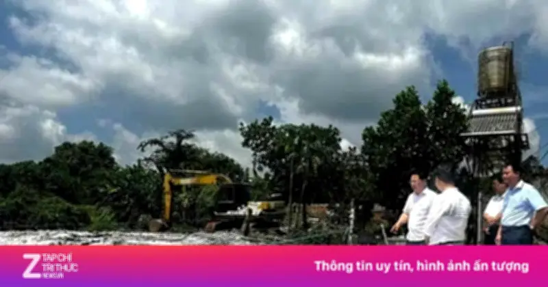 Đồng Nai tiêu hủy hơn 13.500 con heo do dịch tả châu Phi, tăng 412%