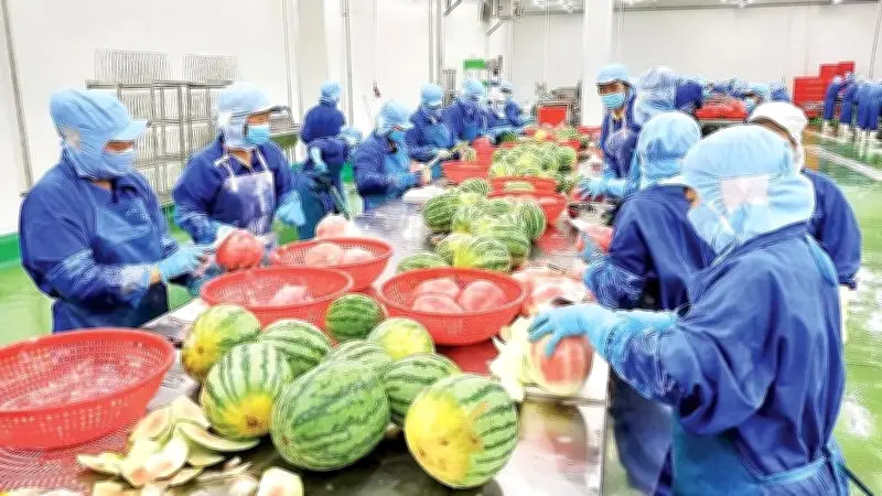 Đồng Tháp tái cấu trúc ngành hàng trái cây, khắc phục 'được mùa mất giá'