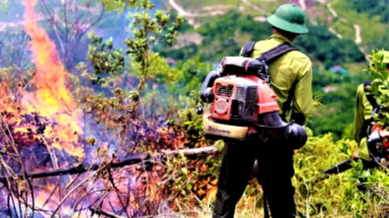 Nghệ An yêu cầu chủ tịch xã chịu trách nhiệm nếu để cháy rừng lớn