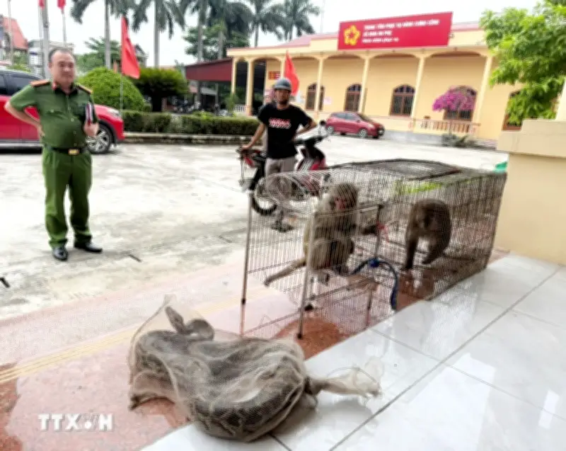 Người dân Hải Phòng tự nguyện bàn giao nhiều cá thể động vật hoang dã quý hiếm