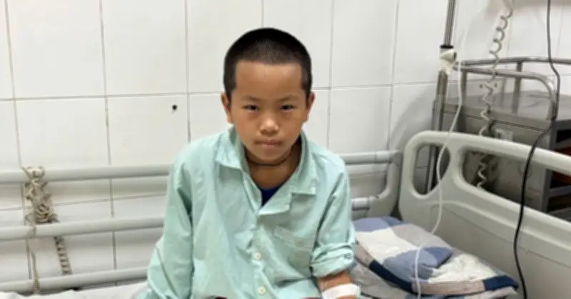Người đàn ông vét sạch tiền cứu con lân mở thú, giờ mong không còn tiền mua cơm