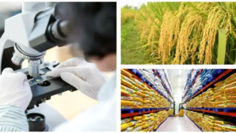Nông sản Việt: Xây thương hiệu quốc gia để bán giá trị, không chỉ giá rẻ