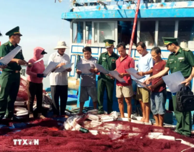 Đà Nẵng tái cơ cấu đội tàu hướng tới nghề cá hiện đại và gỡ thẻ vàng IUU