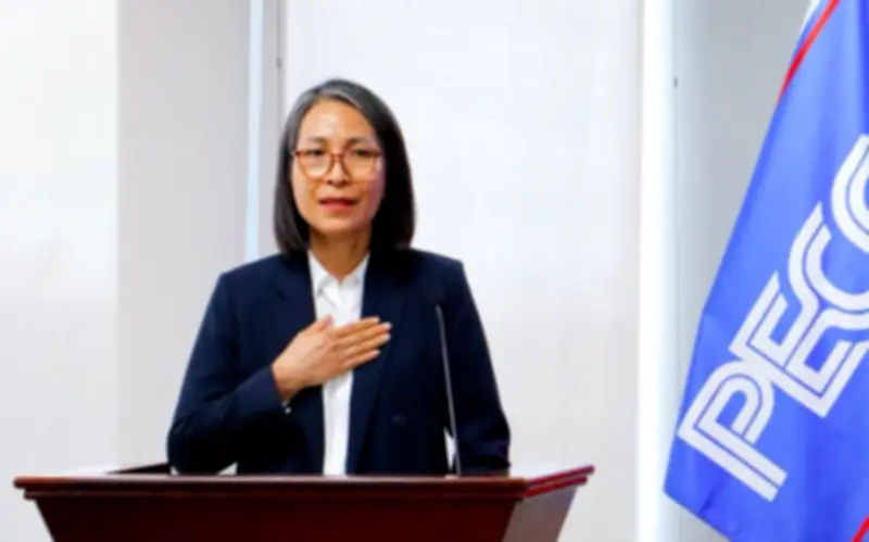 PECC2 bầu bà Phạm Liên Hải làm Chủ tịch HĐQT thay ông Nguyễn Chơn Hùng