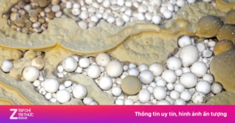 Phát hiện hang Thắng với 'cung điện thạch nhũ' đồ sộ ở Phong Nha - Kẻ Bàng