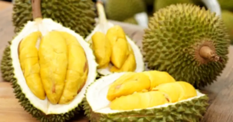 Sầu riêng nhiều đường nhưng chuyên gia khuyên một số người nên ăn vì lý do bất ngờ