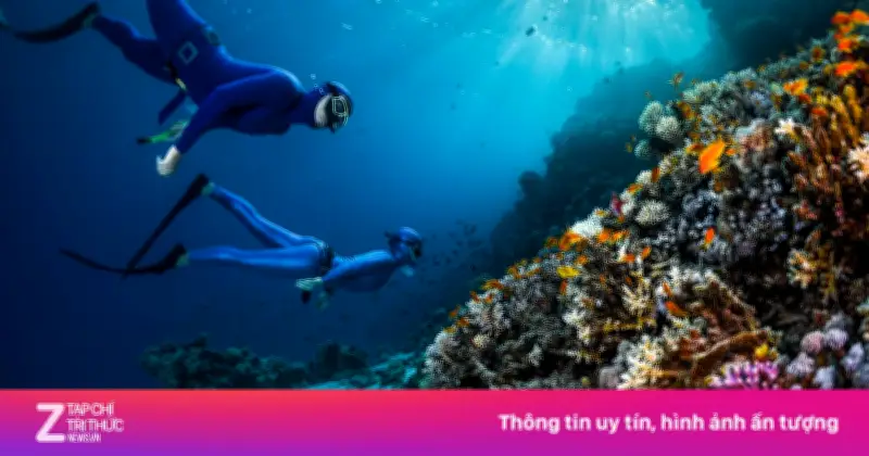Tiền lương không phải tất cả: Bài học từ cuộc gặp cá nhám voi