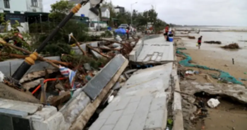 Trà Cổ tan hoang sau bão số 1: Rừng dương cổ thụ gãy đổ hàng loạt