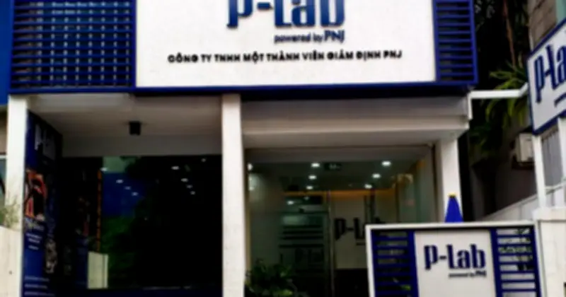 Vụ buôn lậu kim cương: Maybank nói tác động đến PNJ chỉ hạn chế