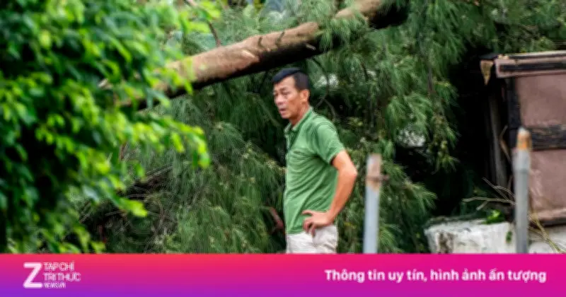 Video: Khu du lịch quốc gia Trà Cổ tan hoang sau bão số 1