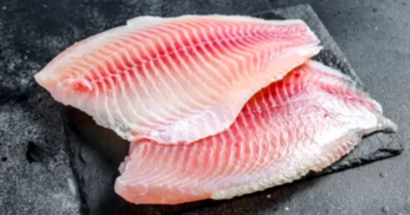 Việt Nam lần đầu xuất khẩu cá rô phi phi lê làm sushi sang Nhật Bản