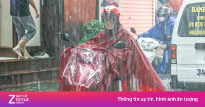 Bão số 1 Maysak gây mưa trên 500 mm, tâm bão sắp vào Quảng Ninh