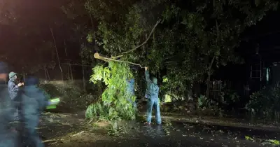 Bão số 1 quần thảo Móng Cái suốt đêm: Cây đổ, mất điện, thiệt hại hàu