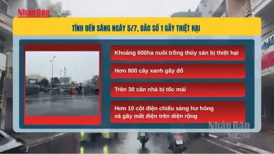 Bão số 1 tàn phá Móng Cái: Hàng chục nhà tốc mái, trăm cây xanh gãy đổ
