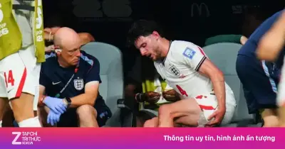 Declan Rice tái phát chấn thương gân kheo, tuyển Anh lo lắng