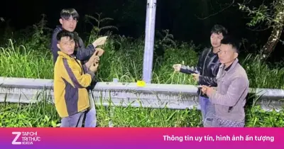 Khởi tố 6 đối tượng cắt trộm hơn 1.200m dây điện tại Hồ Tuyền Lâm