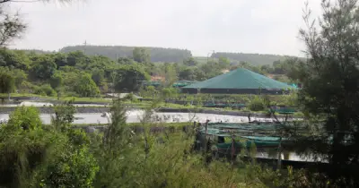 Lâm Đồng siết trách nhiệm quản lý đất, xử lý nghiêm vi phạm