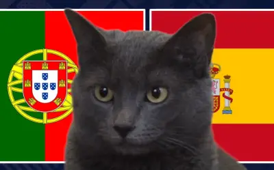 Mèo tiên tri dự đoán Bồ Đào Nha thắng Tây Ban Nha ở World Cup 2026