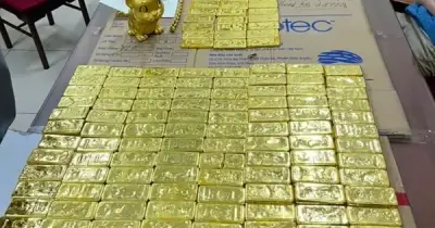 Mr Pips bị thu 78 kg vàng, hàng triệu USD và 32 bất động sản trị giá 373 tỷ