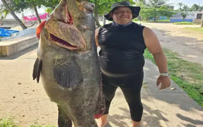 Ngư dân Mexico bắt được cá mú Goliath khổng lồ nặng 75 kg