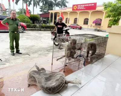 Người dân Hải Phòng tự nguyện bàn giao nhiều cá thể động vật hoang dã quý hiếm