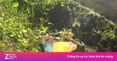 Phát hiện hộp sọ người khi cắt cỏ bờ mương ở Nghệ An