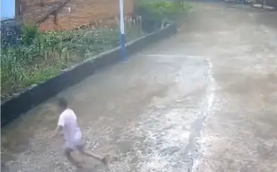 Sạt lở đá tảng ở Quảng Tây, cụ bà thoát chết nhờ phản xạ nhanh