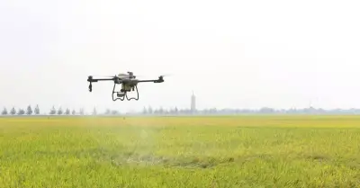 TP.HCM: Chuyển đổi số là động lực phát triển nông thôn bền vững
