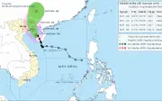 Bão số 1 cách Móng Cái 210km: Đông Bắc Bộ và Thanh Hóa mưa rất lớn