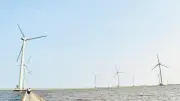 Cà Mau đẩy mạnh phát triển điện gió, hướng tới trung tâm năng lượng sạch