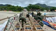 Côn Đảo sẵn sàng cho màn bắn pháo hoa mừng 50 năm Thành phố mang tên Bác