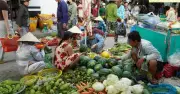 Cần Thơ thí điểm Chợ số 247 cho 50 chợ truyền thống