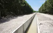 Dự án kênh Sông Dinh 3 - Núi Đất đạt 80% khối lượng, phấn đấu hoàn thành năm 2026