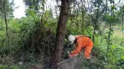 EVNNPC ứng phó bão số 1: Kích hoạt phương án 4 tại chỗ, trực 24/24