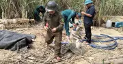 Đắk Lắk yêu cầu xử lý khai thác vàng trái phép tại buôn Ly
