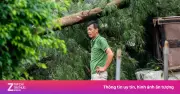 Khu du lịch Trà Cổ tan hoang sau bão số 1