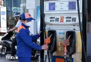 Kéo dài thời hạn áp dụng thuế ưu đãi với xăng dầu và nhiên liệu bay