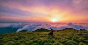 Lịch thiên văn tháng 7: Trái đất xa Mặt trời nhất, mưa sao băng xuất hiện