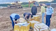 Lâm Đồng xử phạt hơn 5,6 tỷ đồng vi phạm thương mại điện tử